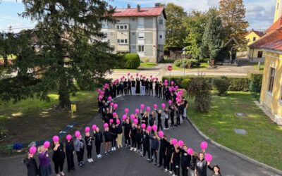 RUŽIČASTI LISTOPAD